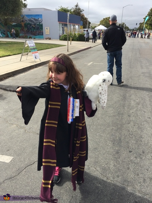 Hermione Harry Potter Halloween Costume