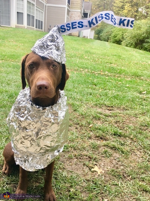 Hershey Chocolate Kiss Costume