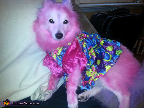 Hippie Princess Dog Costume