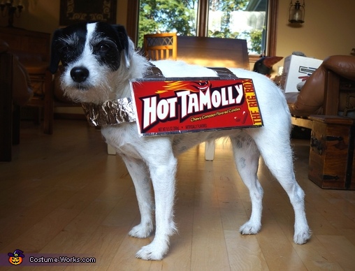 Hot TaMolly Dog Costume