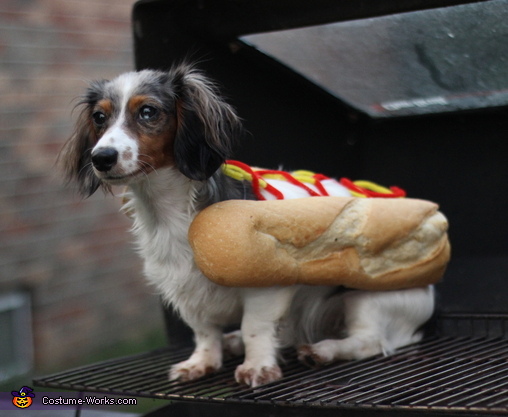 HotDog Dog Costume