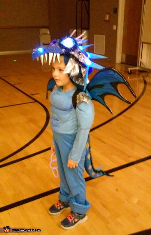 How to Train Your Dragon Costume