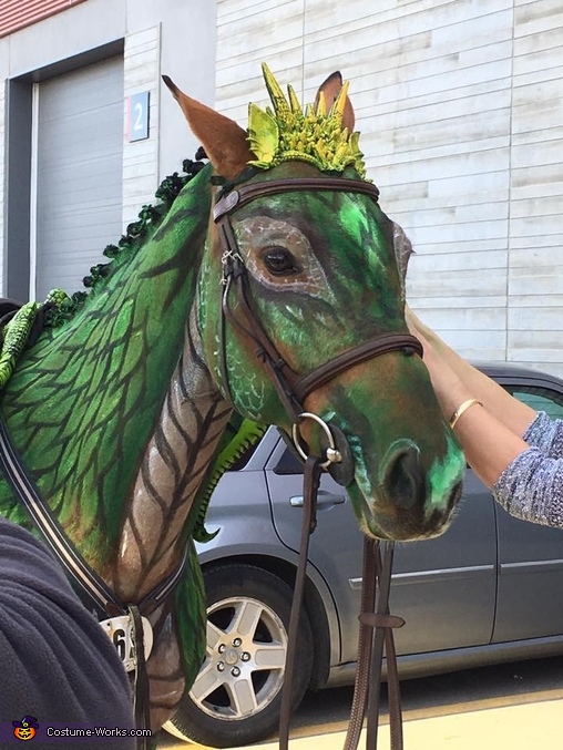 How to turn a Horse into a Dragon Costume
