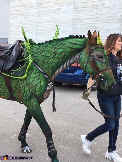 How to turn a Horse into a Dragon Costume - Photo 2/4