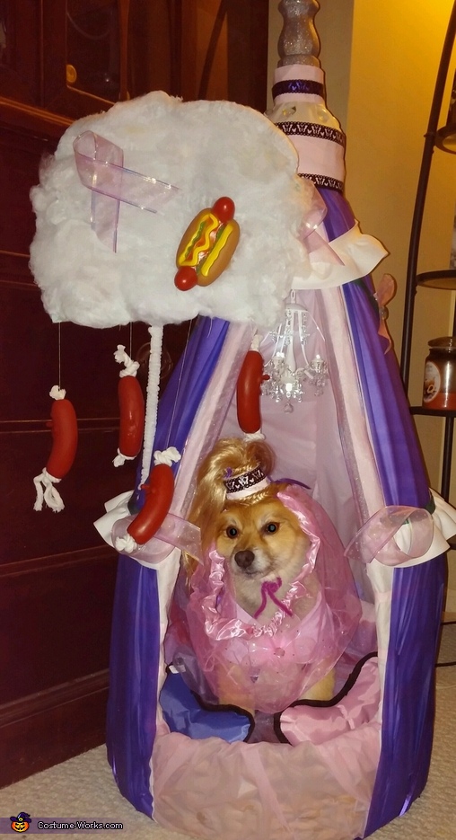 I Dream of Weenies Dog Costume