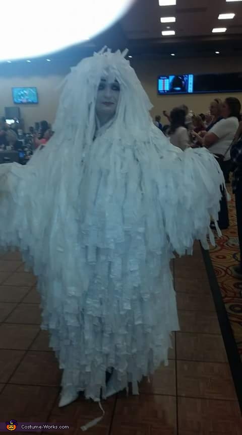 ice princess costume for adults