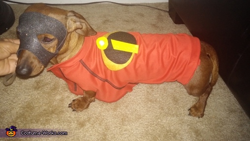 Incredible Dog & her Family Costume