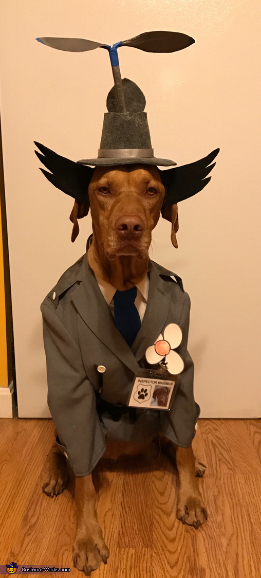 Inspector Maximus Costume