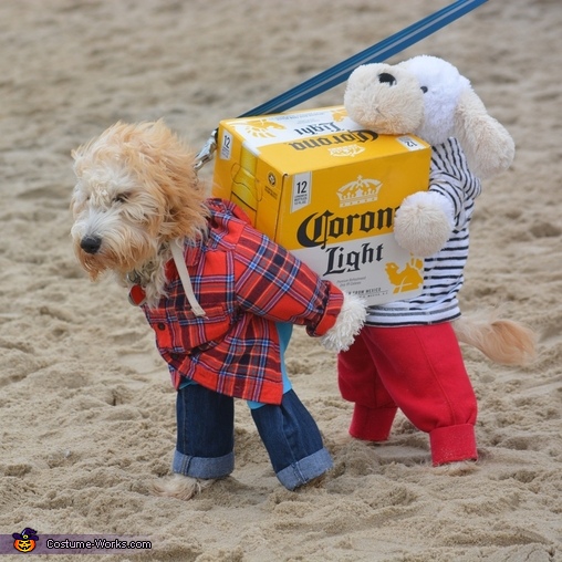 Dog 2025 carrying costume