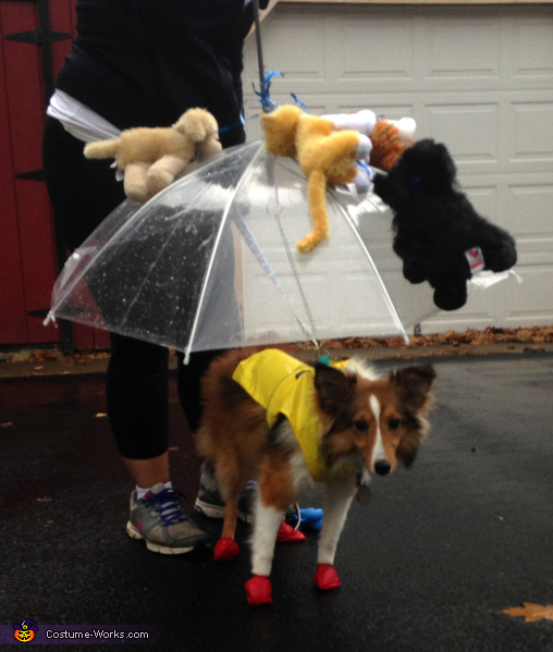 It's Raining Cats and Dogs Costume