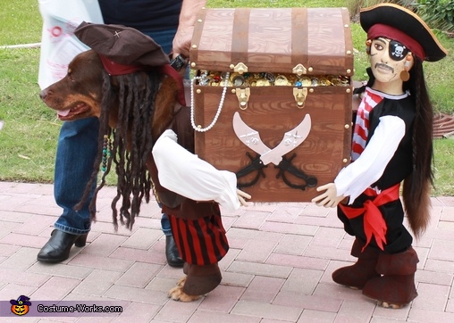 Jack Sparrow and his Pirate Helper Costume