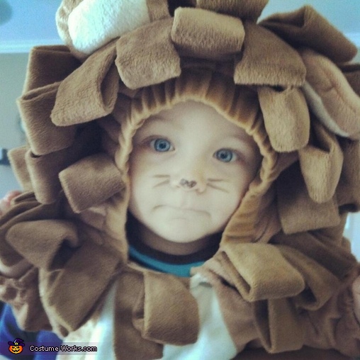 Lion Cub Baby Costume