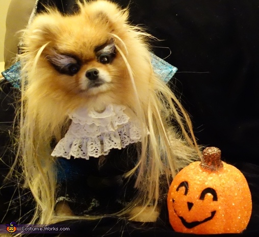 Jareth from Labyrinth Dog's Costume