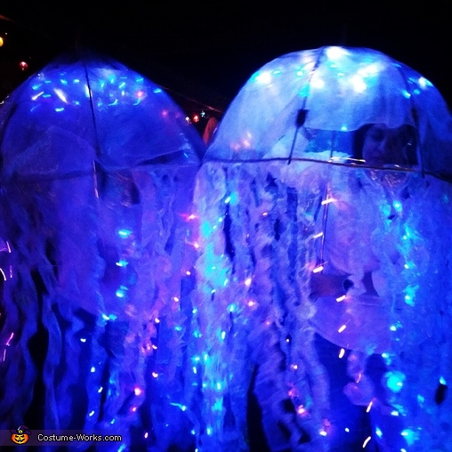 A Jellyfish  Jellyfish halloween costume, Fish costume, Jellyfish