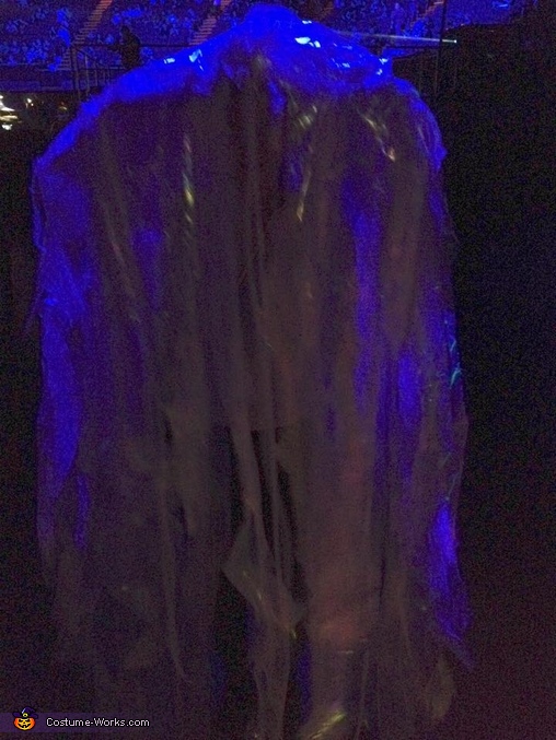 Jellyfish Costume