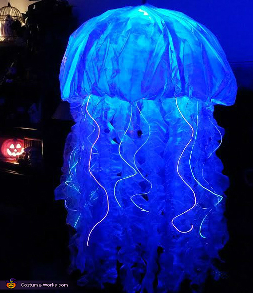A Jellyfish  Jellyfish halloween costume, Fish costume, Jellyfish