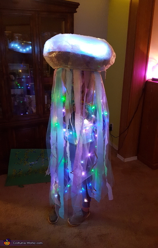 Coolest DIY Jellyfish Costume