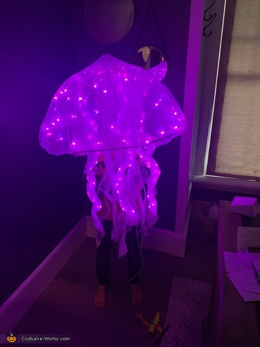 Jellyfish Costume Unique DIY Costumes Photo 2/5