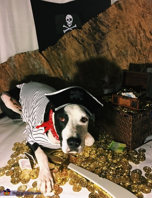 Jeter the Pirate Costume