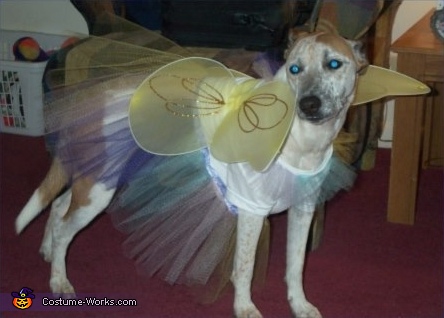  Fairy Costume