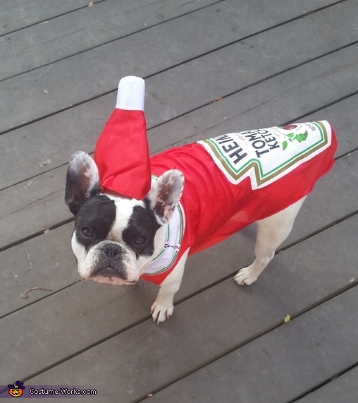 Ketchup Costume