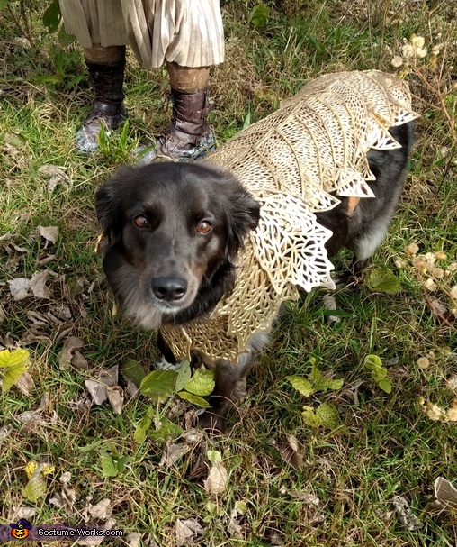 Khaleesi's Battle Dog Costume