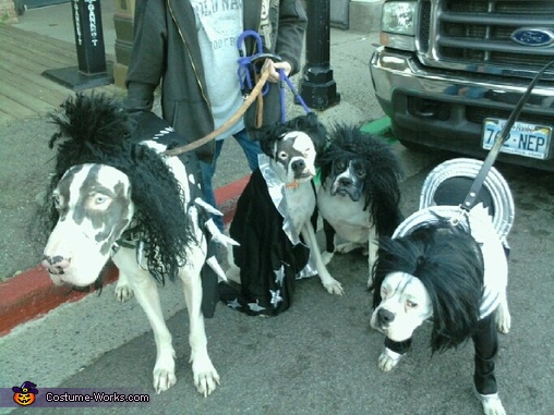 KISS - Costumes for Dogs