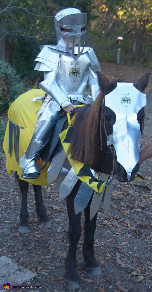 adult knight costume diy