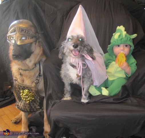 The Knight, The Princess and The Dragon Costume