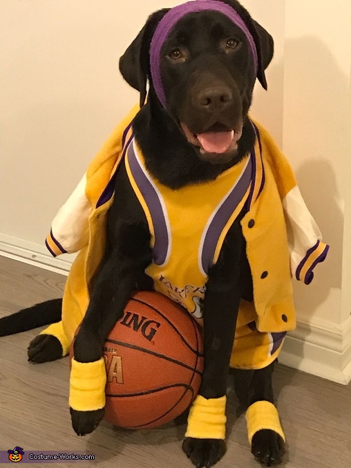 la lakers dog jersey