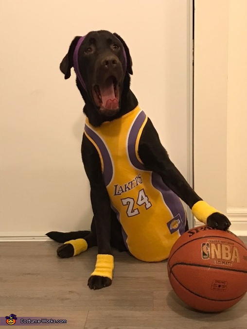 LA Lakers Basketball Player Dog's Costume - Photo 6/10