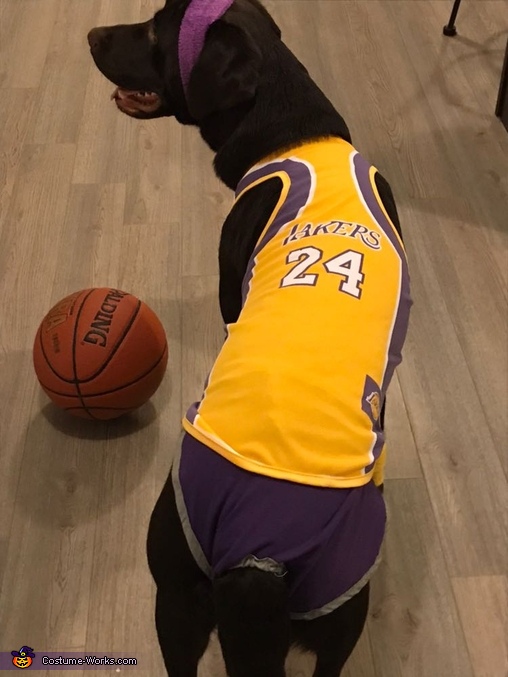 kobe bryant dog jersey