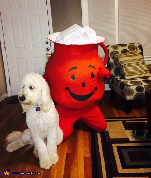 Kool Aid Man Costume