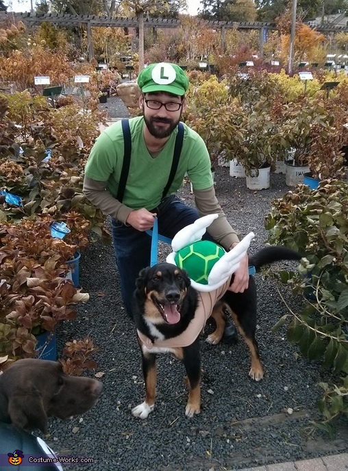 Mario Brothers: Koopa Troopa and Chain Chomp Dog Costume