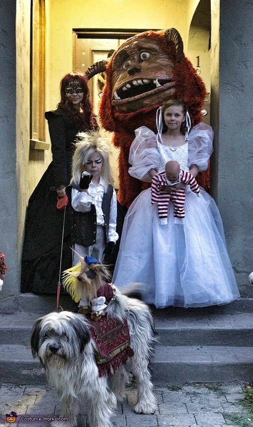 Labyrinth Family Costume