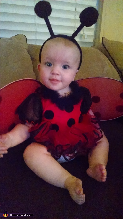 Cute Lady Bug Baby Costume | Halloween Party Costumes