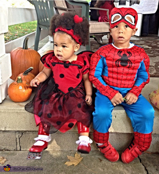 Lady Bug & Spider Man Costume