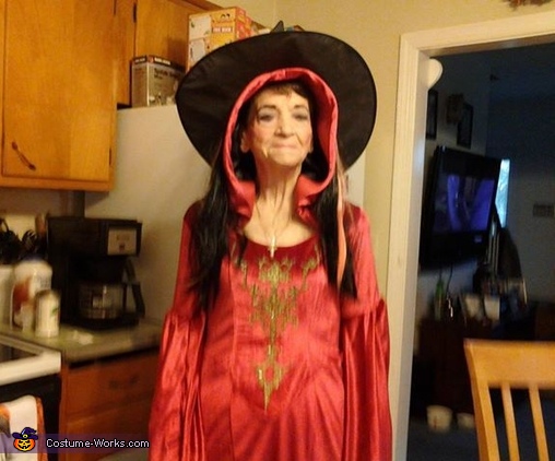 Lady Dracula Costume