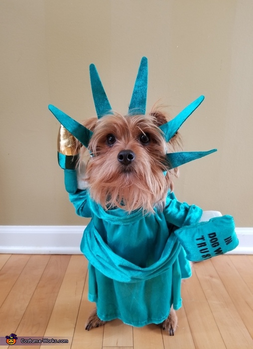 Lady Liberty Costume