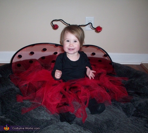 Ladybug Baby Costume | DIY Costumes Under $25