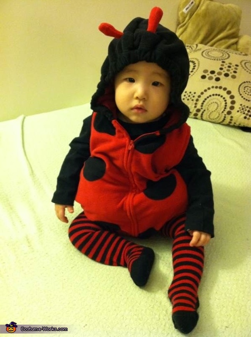Baby Ladybug Costume