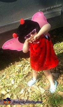 Ladybug Baby Costume