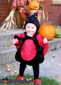 Lil Ladybug Costume