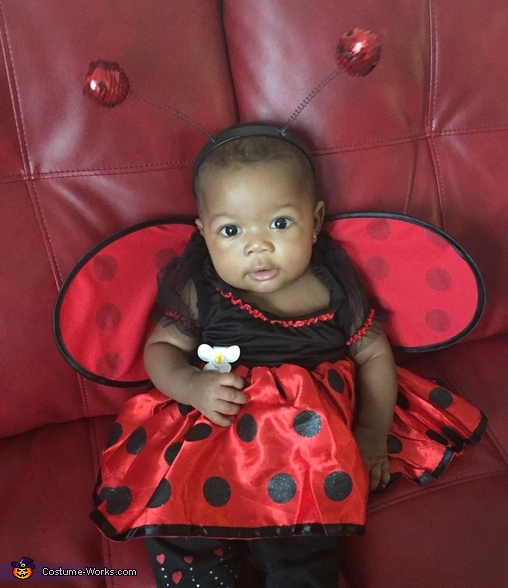 Ladybug Baby Costume