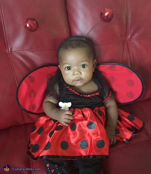 Baby store ladybug outfit