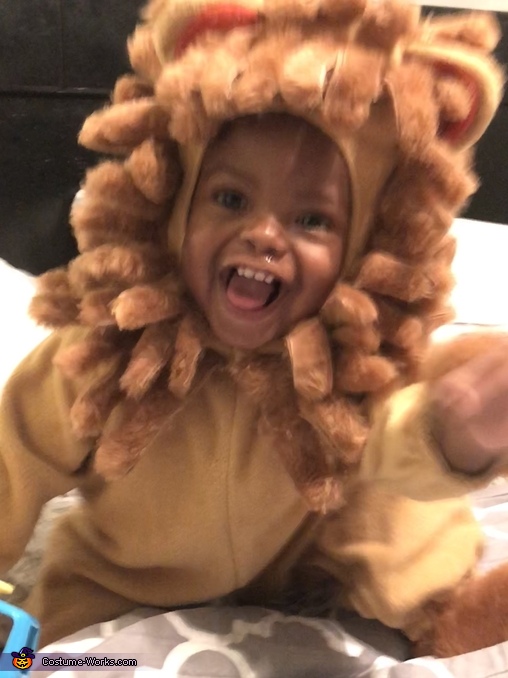 Laughing Lion Costume