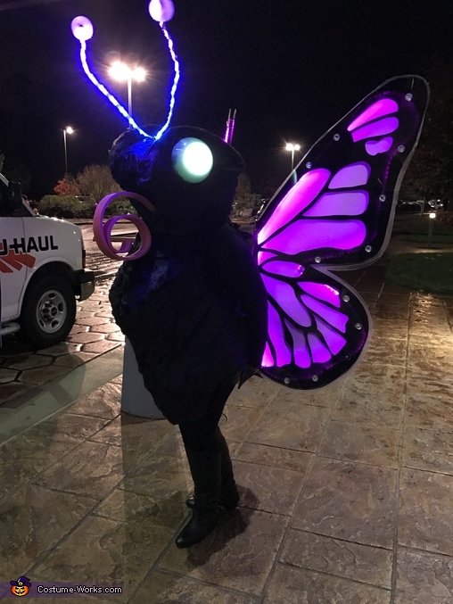 LED Butterfly Costume