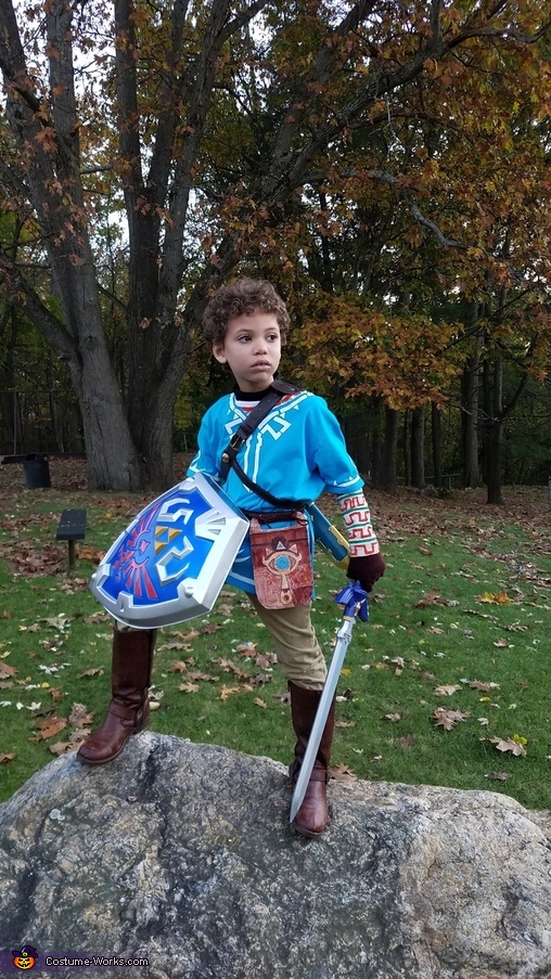  Link Costume for Kids, Official Zelda Breath of The