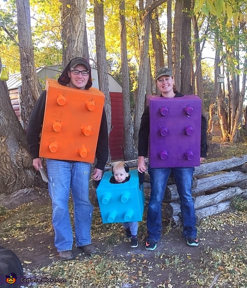LEGO Family Costume