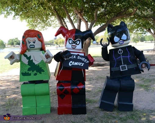 Lego Gotham City Sirens Group Costume